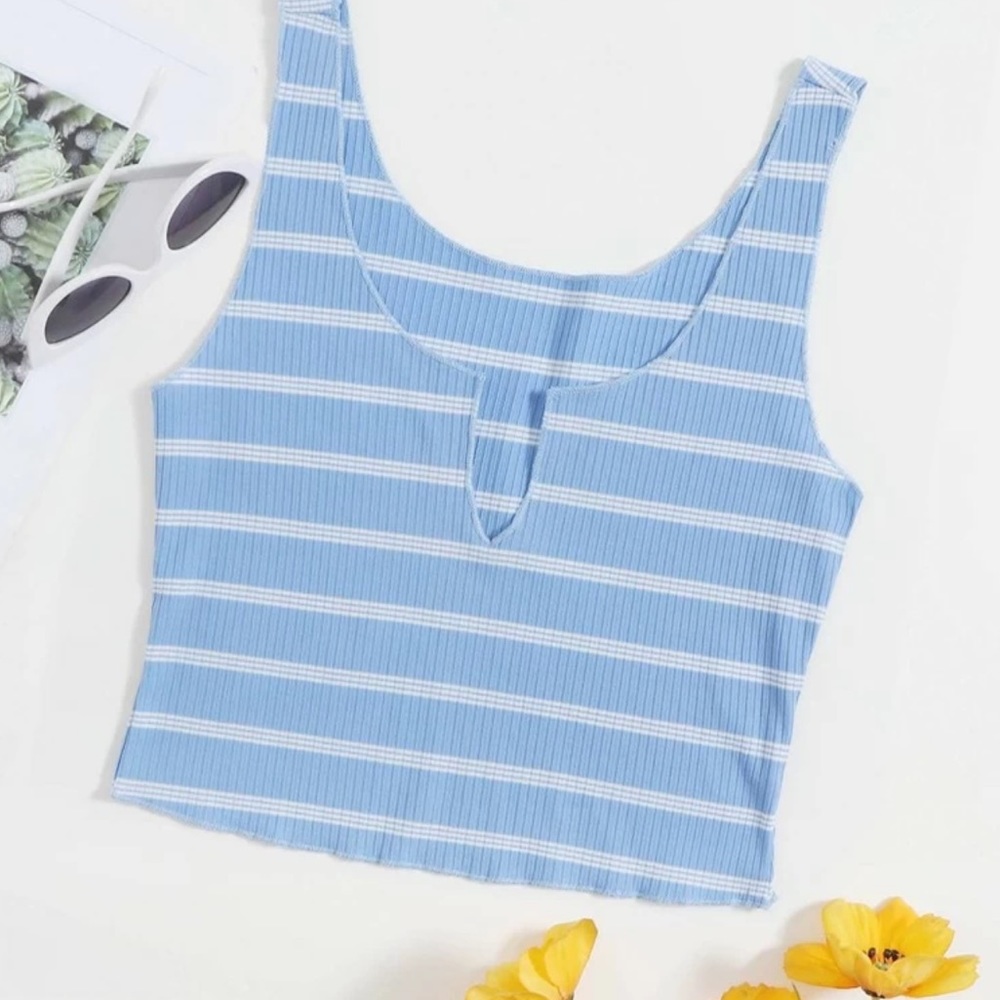 Striped Crop Top
